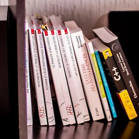 Loft Sous Les Toits Lumineux - Capitole-daurade-esquirol - Wifi Appartamento Tolosa