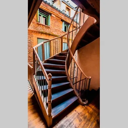 Loft Sous Les Toits Lumineux - Capitole-daurade-esquirol - Wifi Toulouse