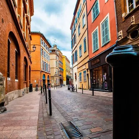 Loft Sous Les Toits Lumineux - Capitole-daurade-esquirol - Wifi Апартаменты *