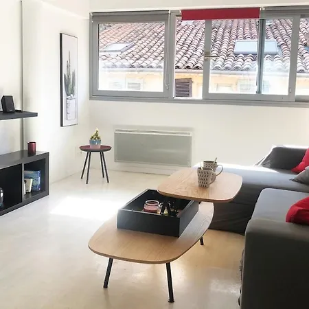 Loft Sous Les Toits Lumineux - Capitole-daurade-esquirol - Wifi Daire Toulouse