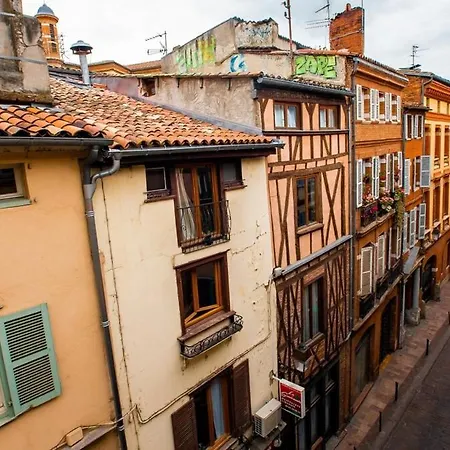 Loft Sous Les Toits Lumineux - Capitole-daurade-esquirol - Wifi *