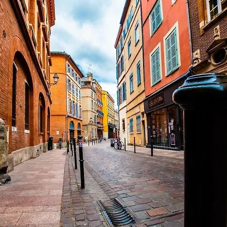 Loft Sous Les Toits Lumineux - Capitole-daurade-esquirol - Wifi Toulouse
