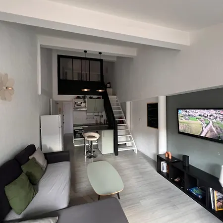 Loft Sous Les Toits Lumineux - Capitole-daurade-esquirol - Wifi * Toulouse