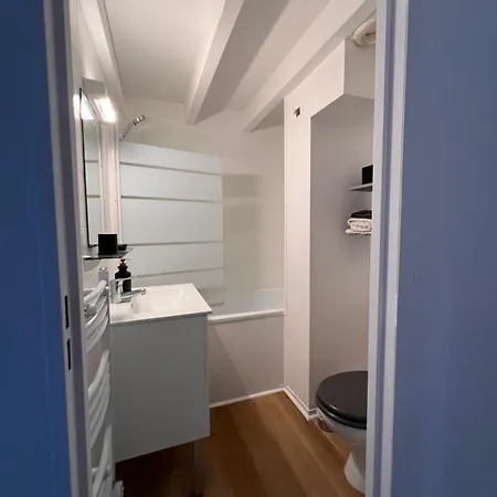 Daire Loft Sous Les Toits Lumineux - Capitole-daurade-esquirol - Wifi Toulouse