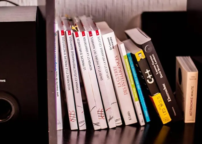 Loft Sous Les Toits Lumineux - Capitole-daurade-esquirol - Wifi *