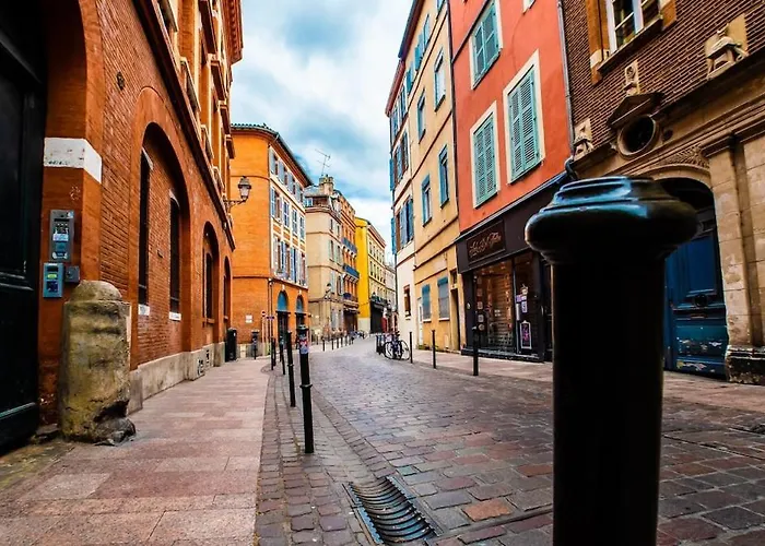 Loft Sous Les Toits Lumineux - Capitole-daurade-esquirol - Wifi Toulouse