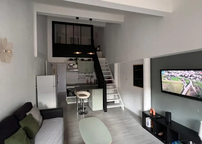 Loft Sous Les Toits Lumineux - Capitole-daurade-esquirol - Wifi * Toulouse