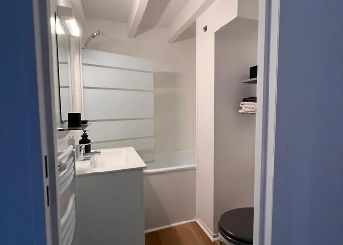 Apartment Loft Sous Les Toits Lumineux - Capitole-daurade-esquirol - Wifi Toulouse