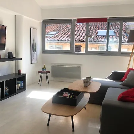 Loft Sous Les Toits Lumineux - Capitole-daurade-esquirol - Wifi Tolosa